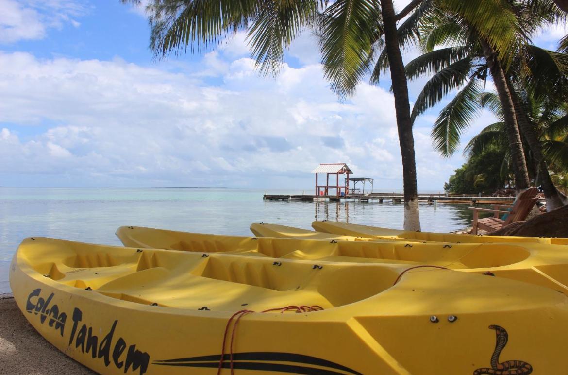 Blue Marlin Beach Resort Dangriga Extérieur photo