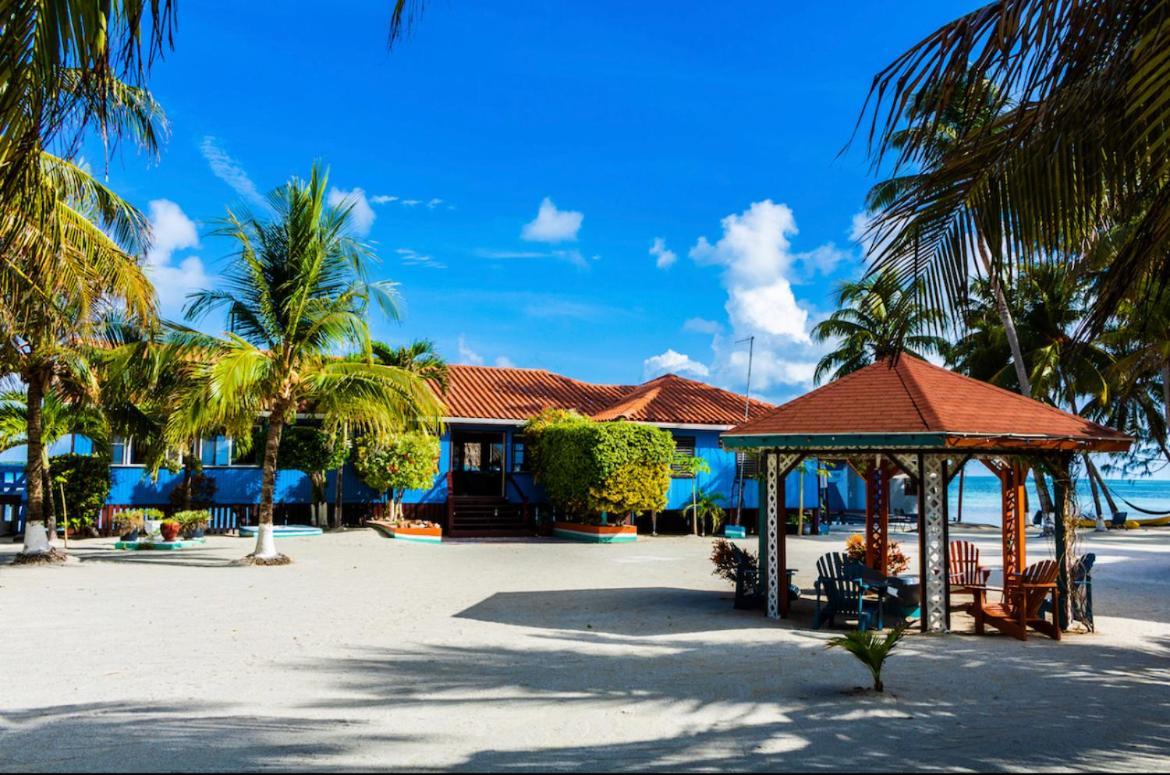 Blue Marlin Beach Resort Dangriga Extérieur photo