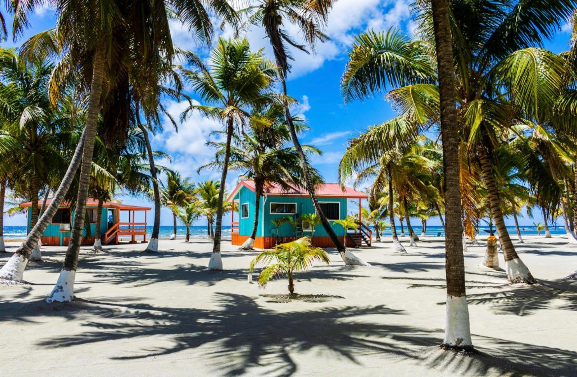 Blue Marlin Beach Resort Dangriga Extérieur photo