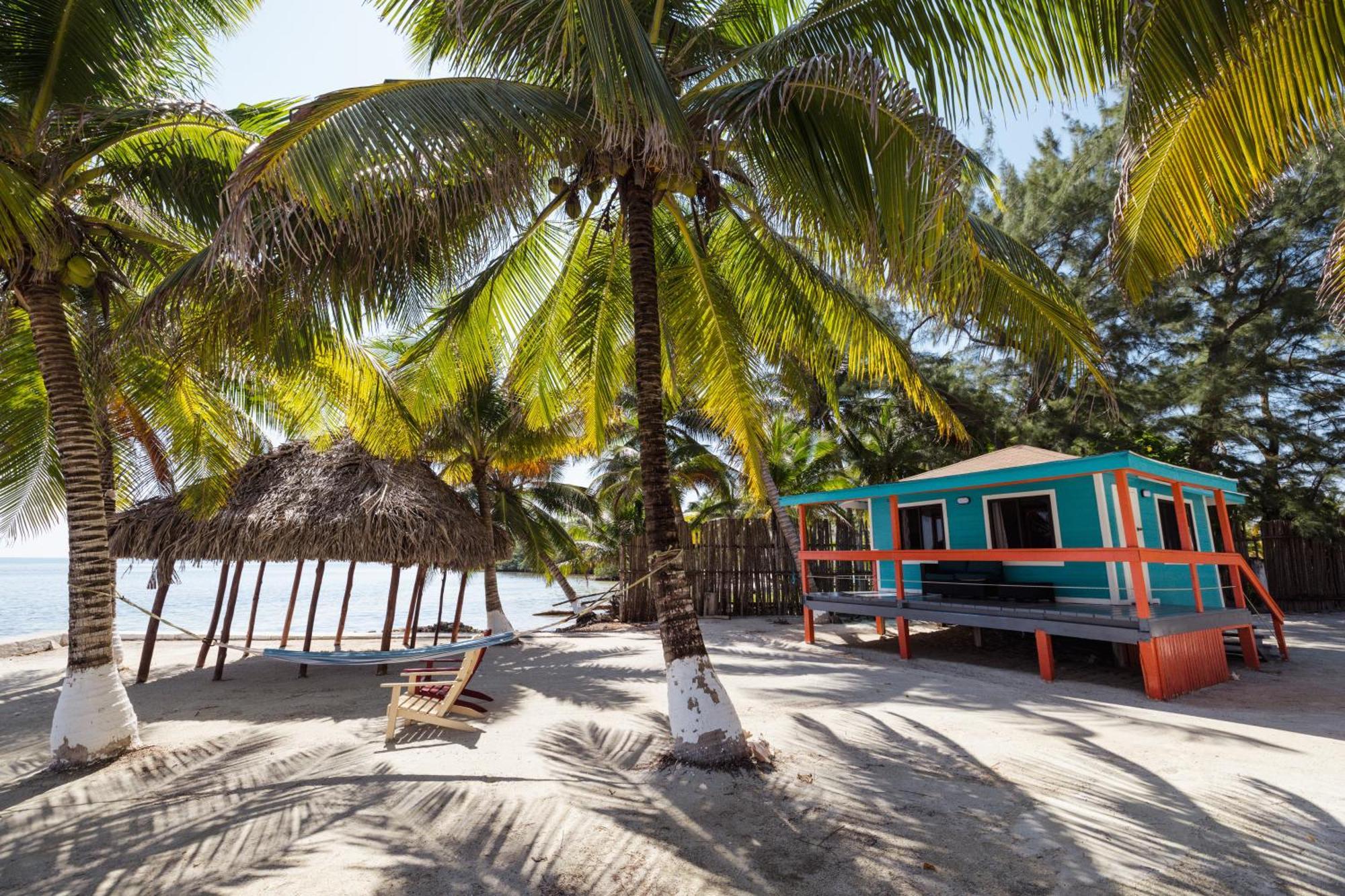 Blue Marlin Beach Resort Dangriga Extérieur photo