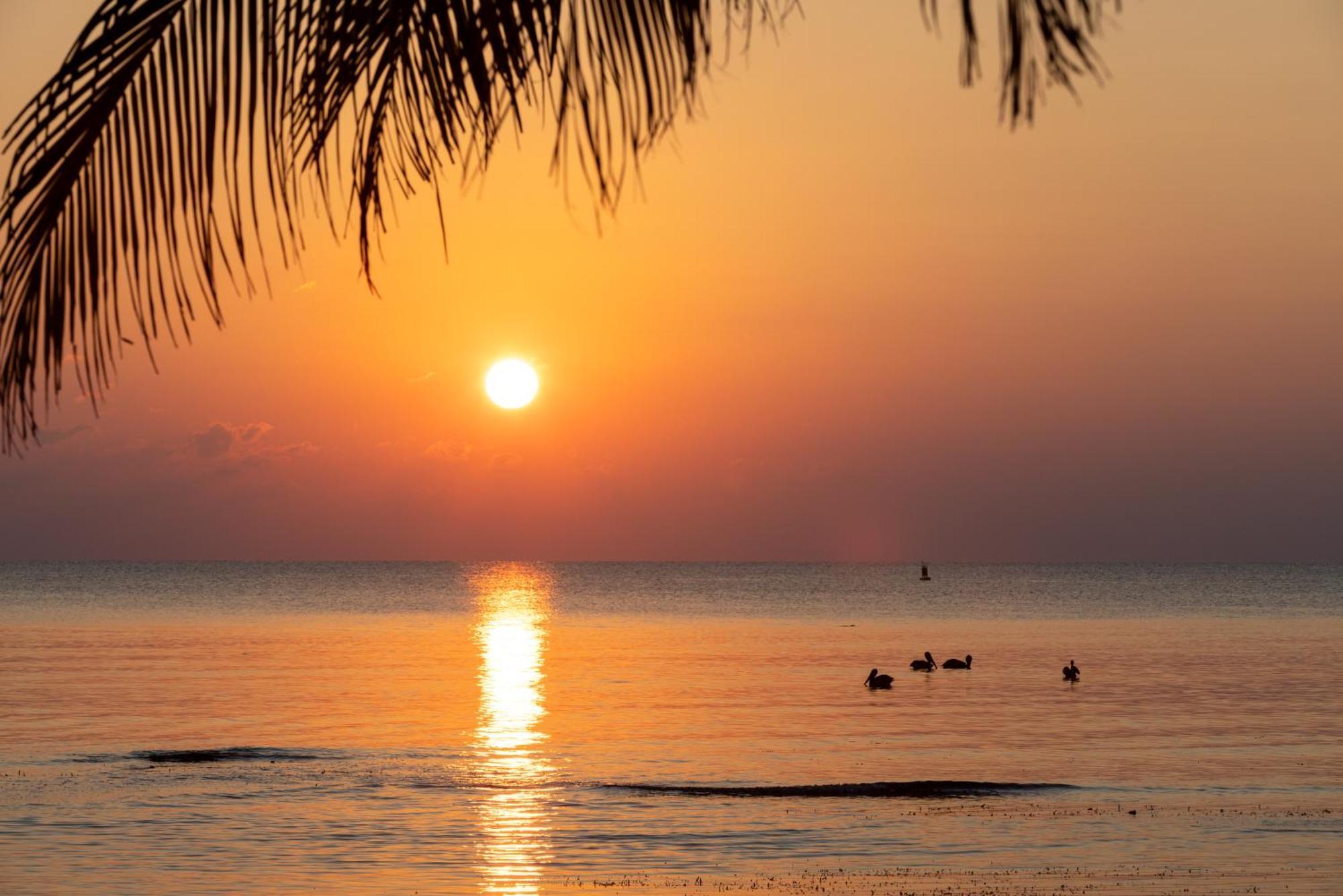 Blue Marlin Beach Resort Dangriga Extérieur photo