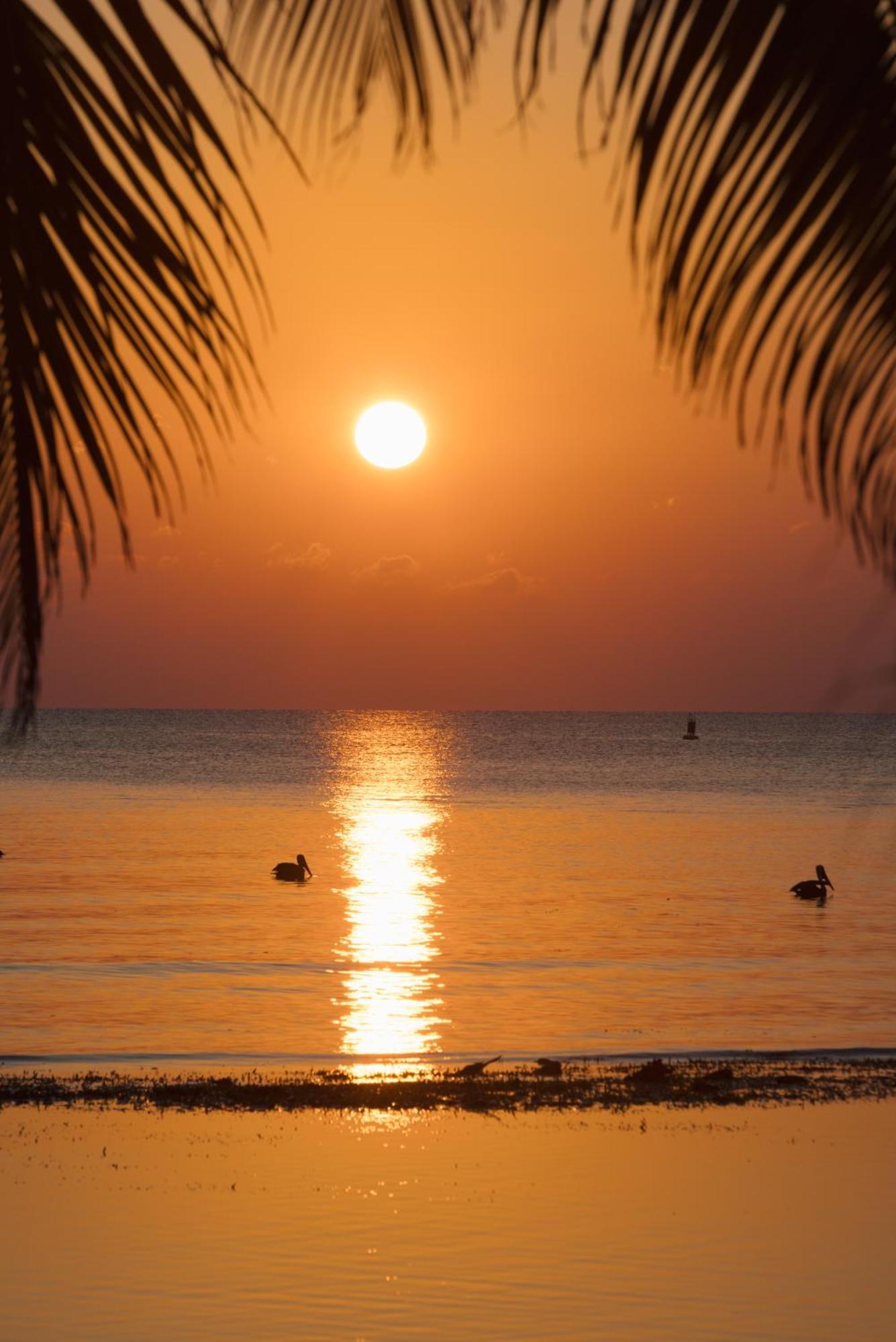 Blue Marlin Beach Resort Dangriga Extérieur photo