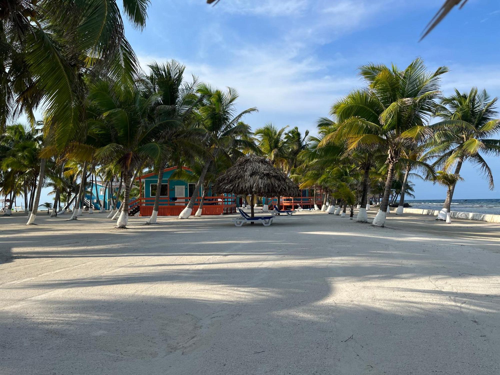Blue Marlin Beach Resort Dangriga Extérieur photo