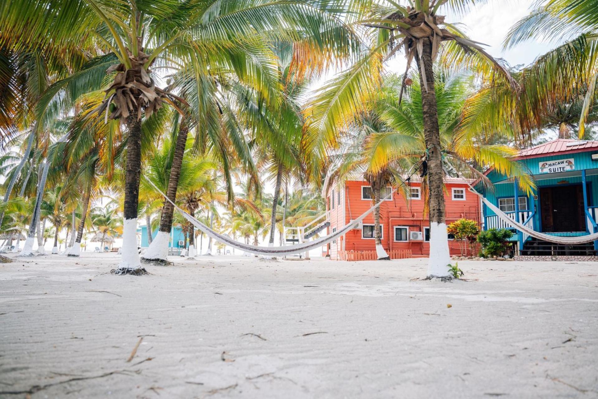 Blue Marlin Beach Resort Dangriga Extérieur photo