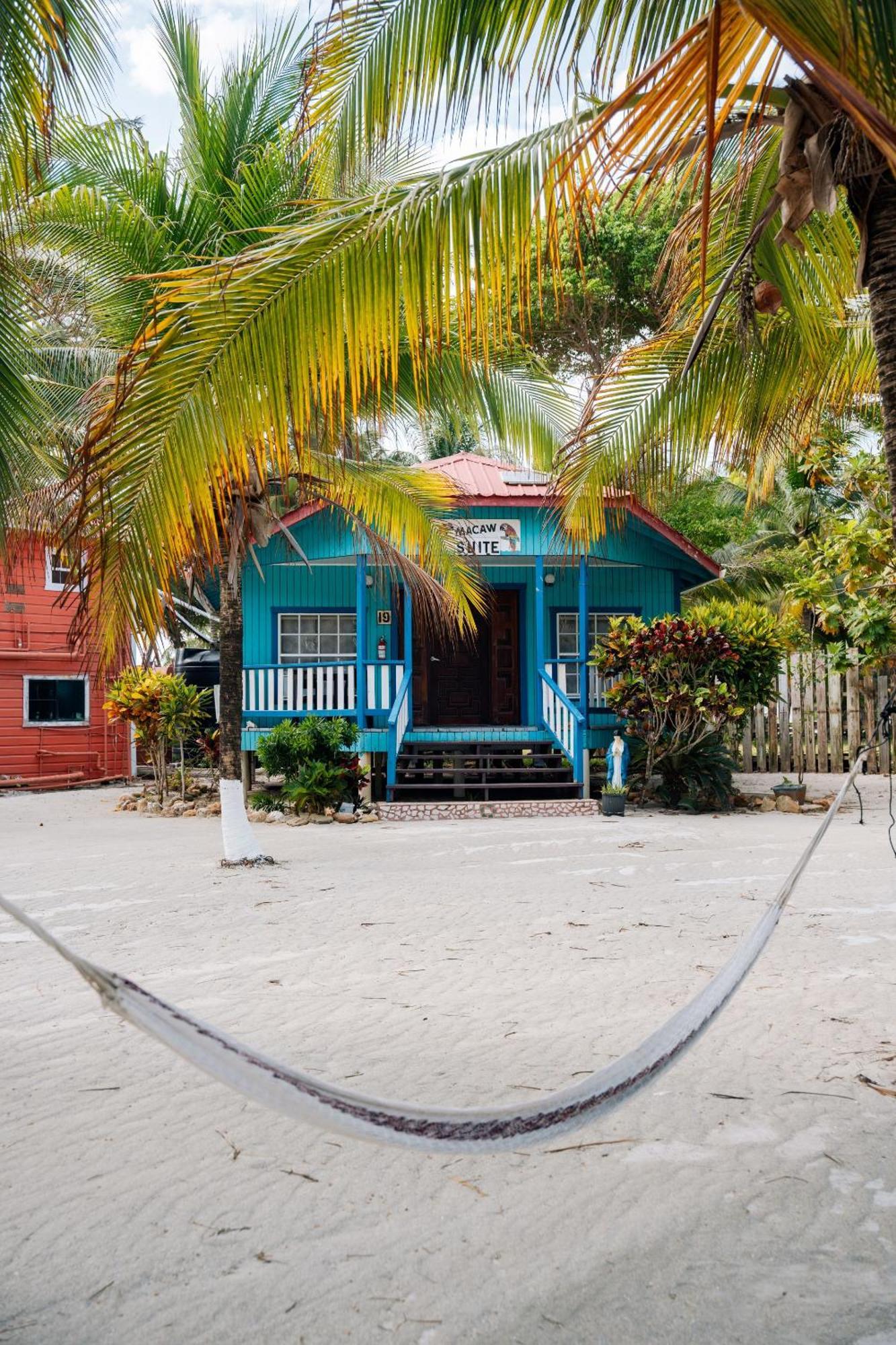 Blue Marlin Beach Resort Dangriga Extérieur photo