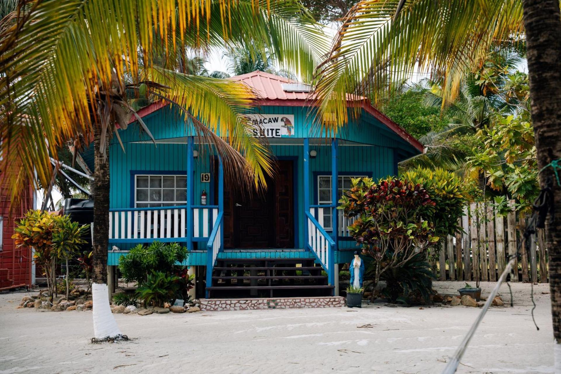Blue Marlin Beach Resort Dangriga Extérieur photo