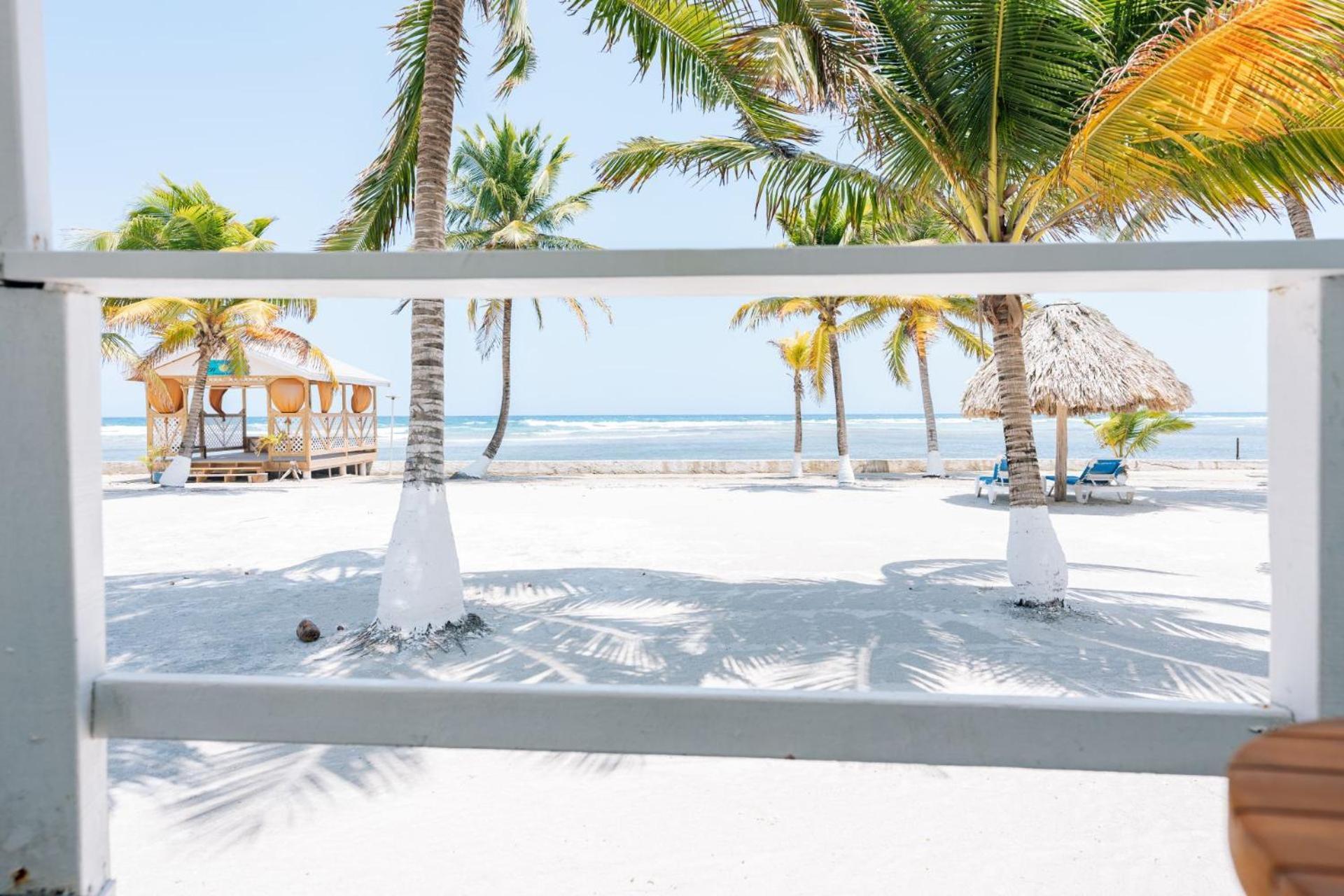 Blue Marlin Beach Resort Dangriga Extérieur photo